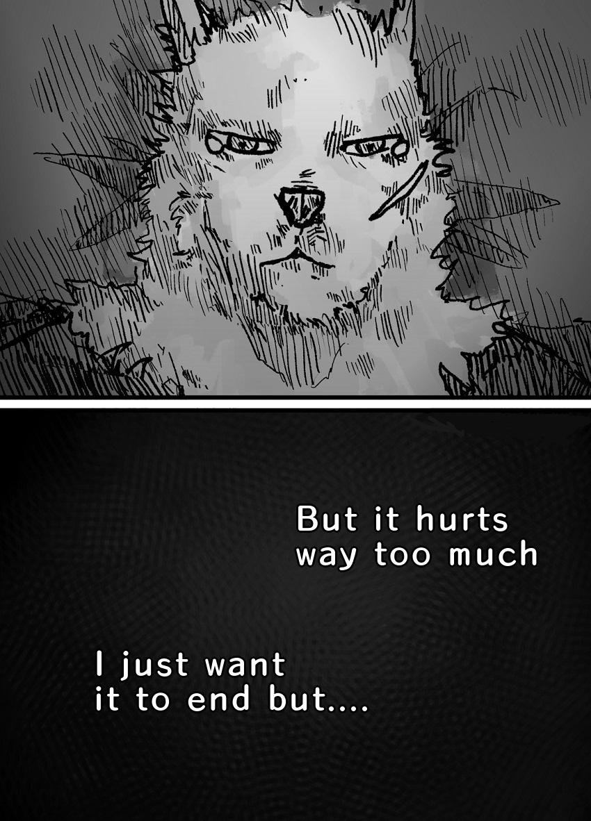 53