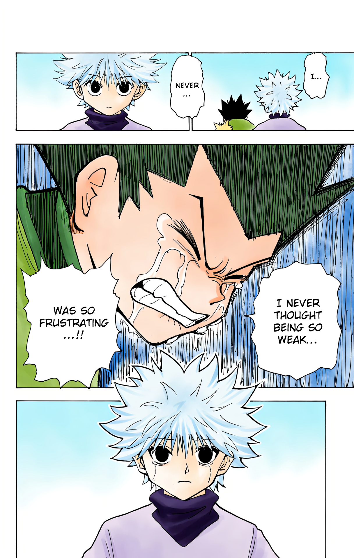 Halaman dari HUNTER x HUNTER (Official Colored) Chapter 214
