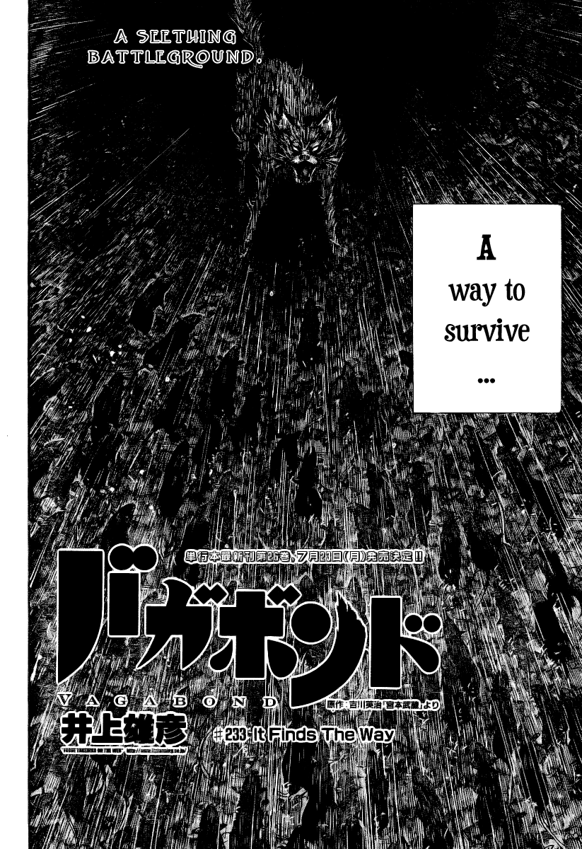 Halaman dari Vagabond Chapter 233