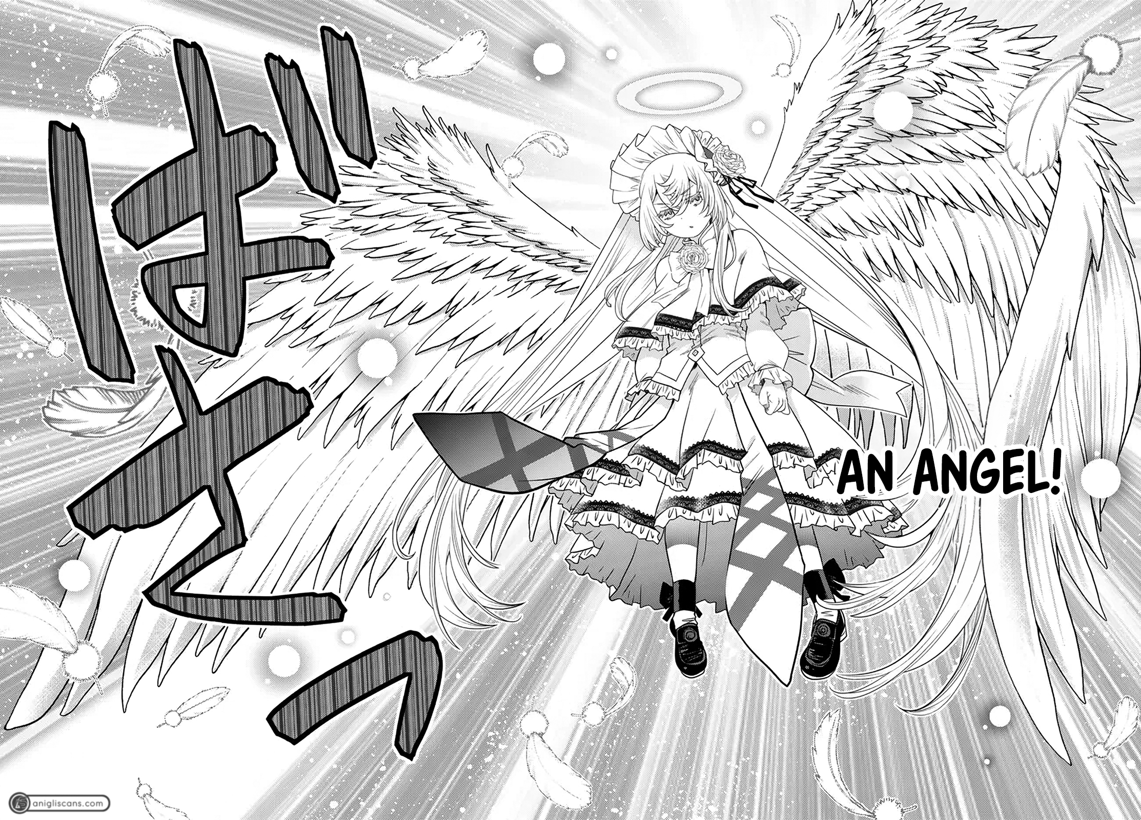 46