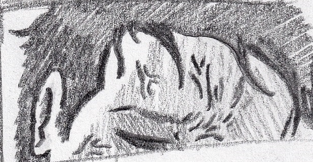 78