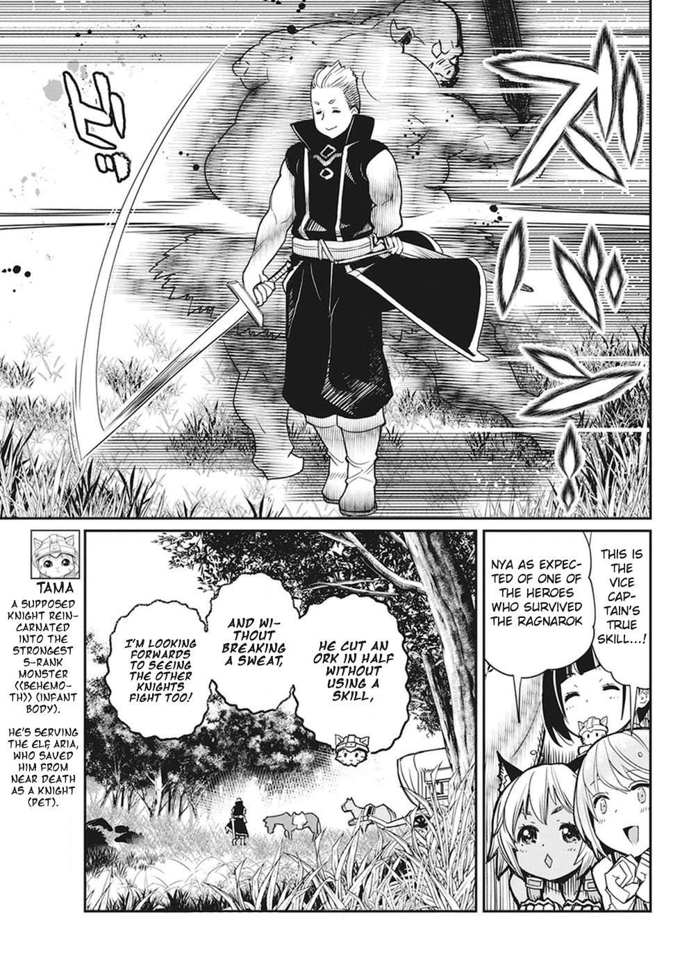 Halaman dari S-Rank Monster no "Behemoth" Dakedo, Neko to Machigawarete Elf Musume no Pet to Shite Kurashitemasu Chapter 11