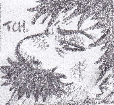 118