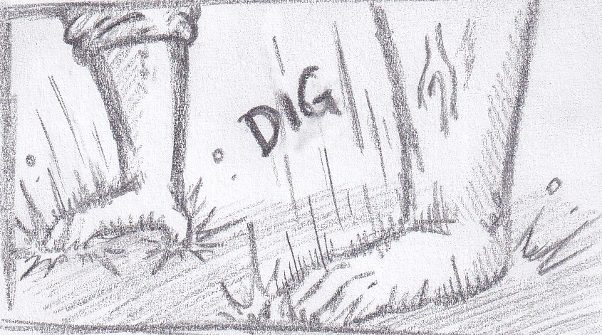 119