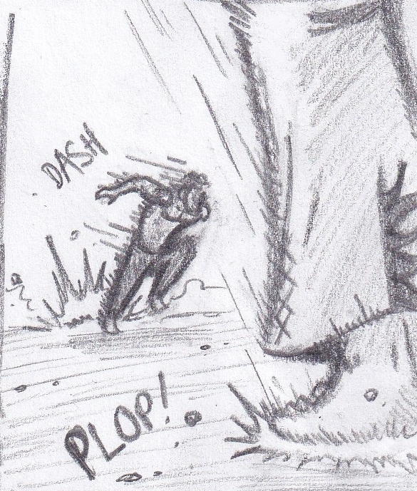 43