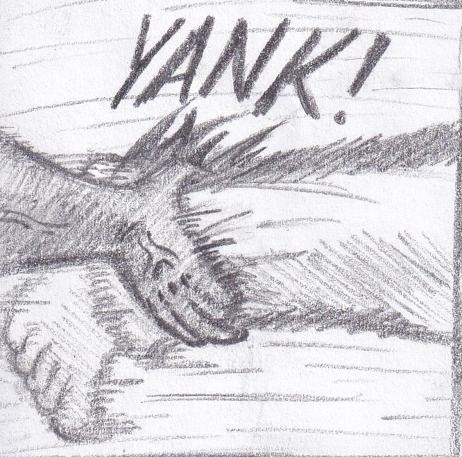 61