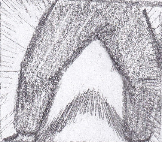 85