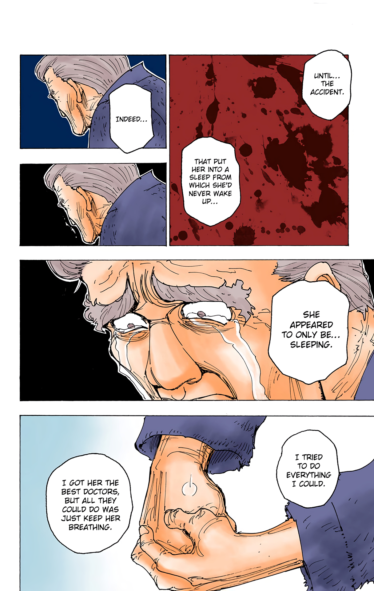 Halaman dari HUNTER x HUNTER (Official Colored) Chapter 174