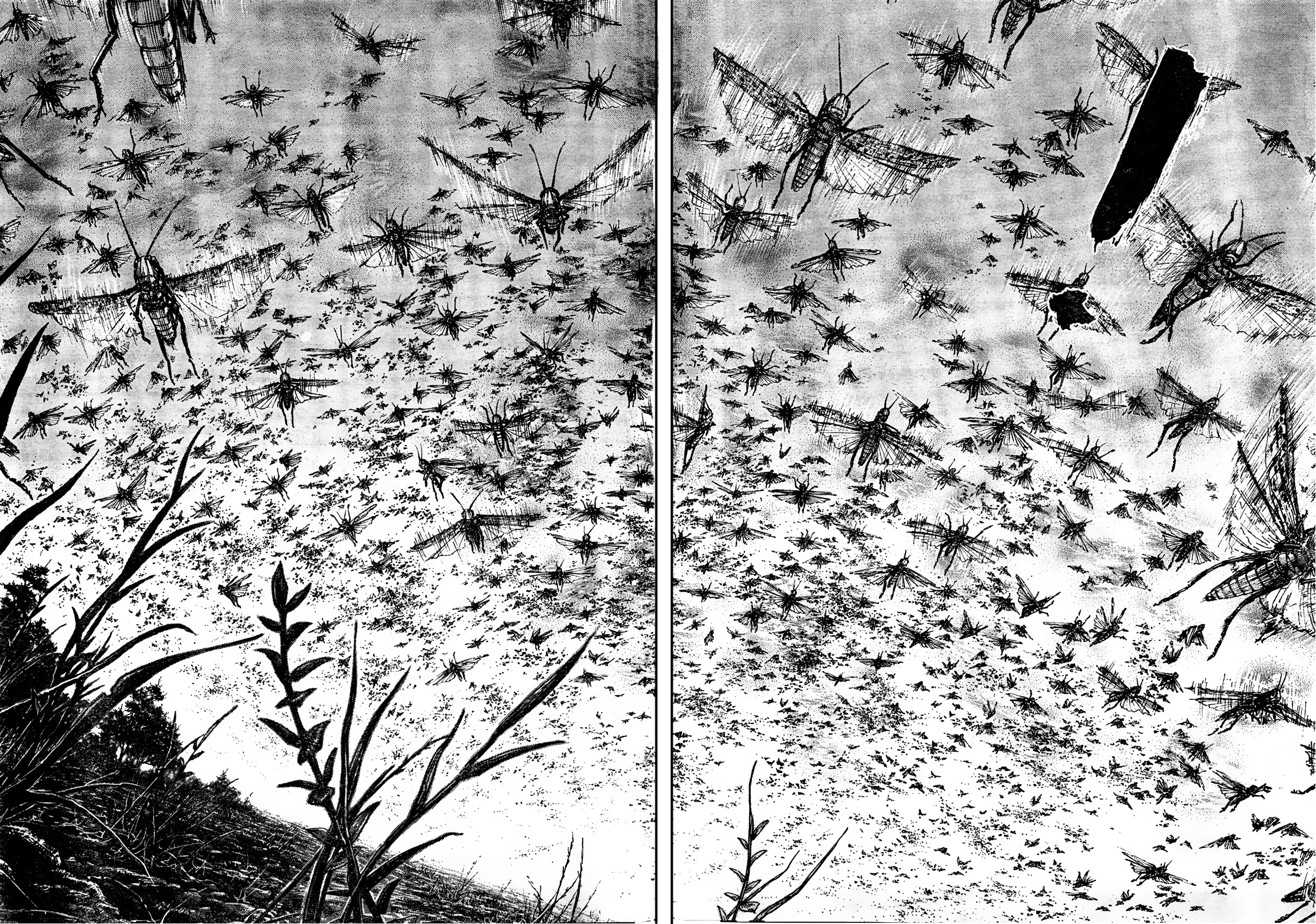 Halaman dari Vagabond Chapter 309