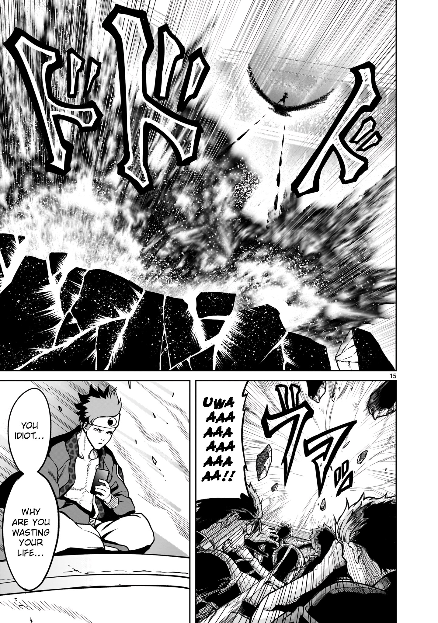 Page 15
