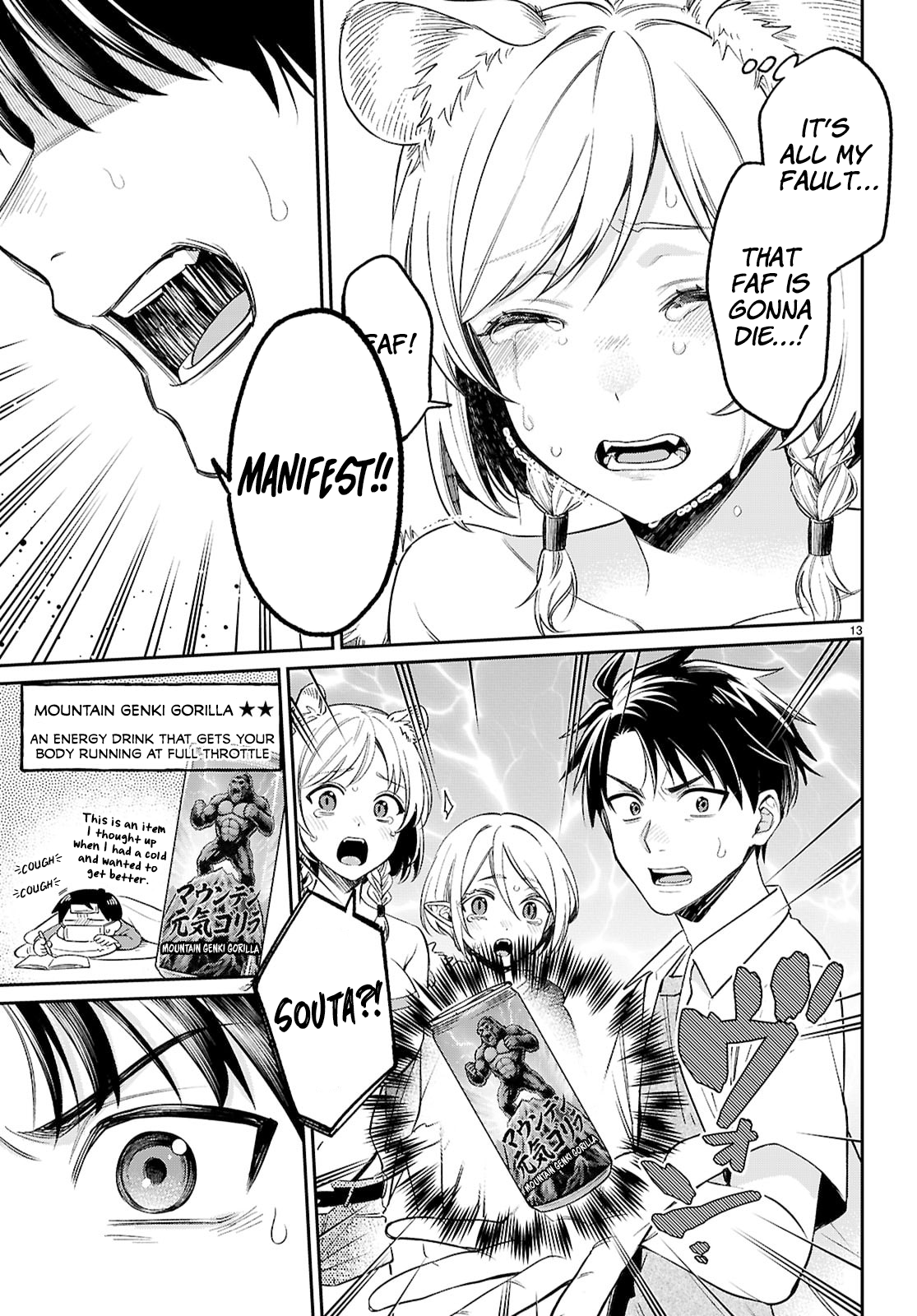 Page 13