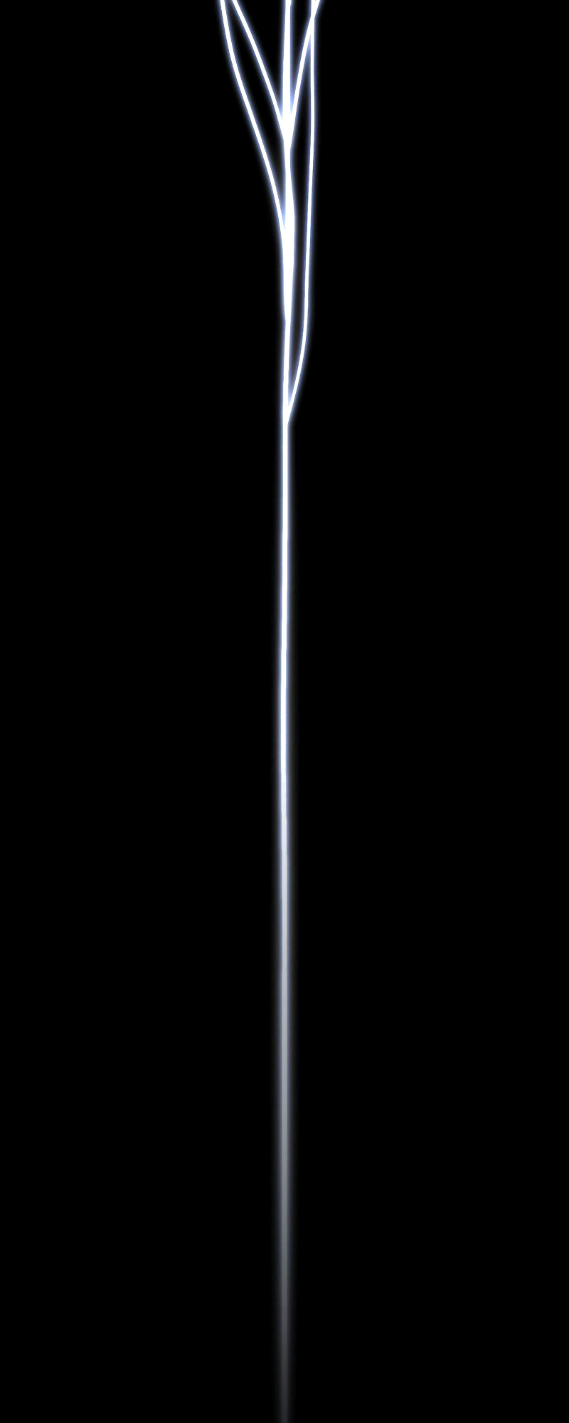42