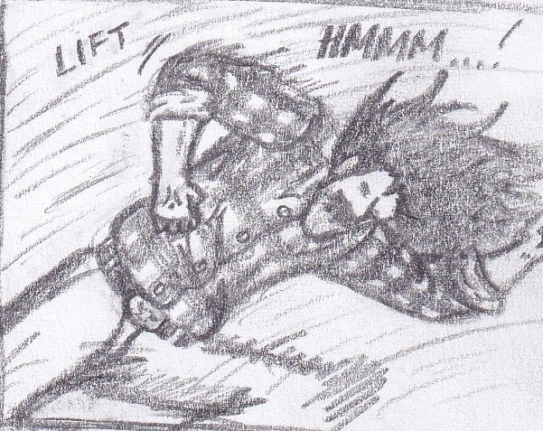 43