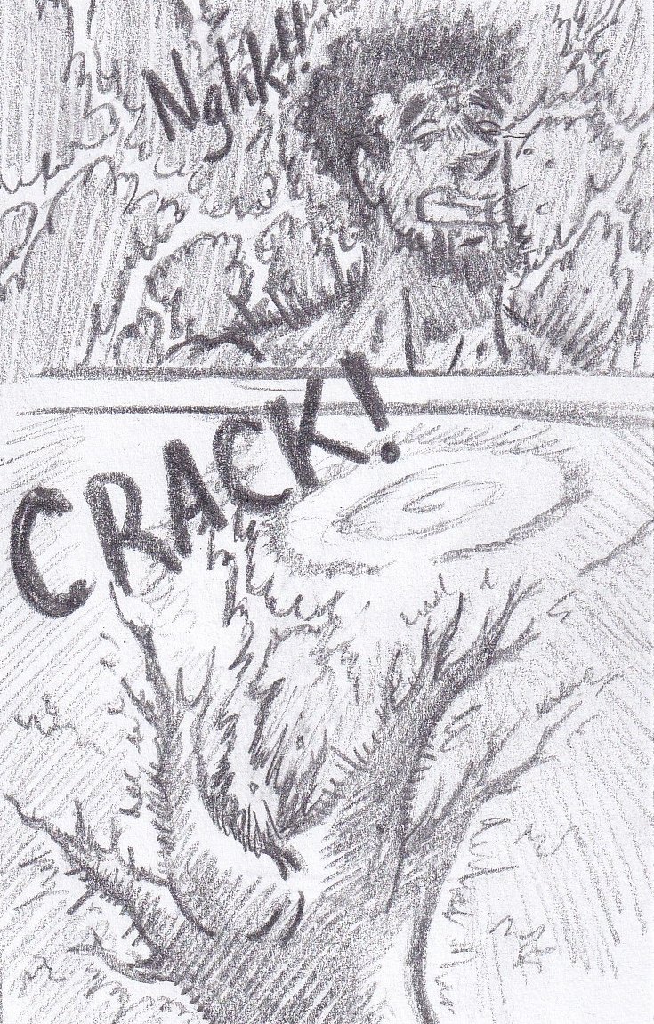 80