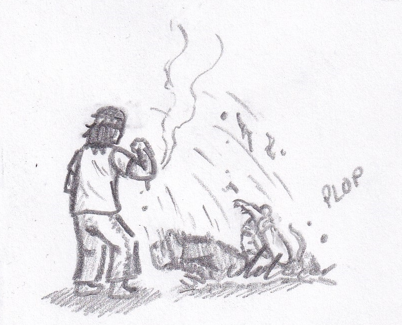 81