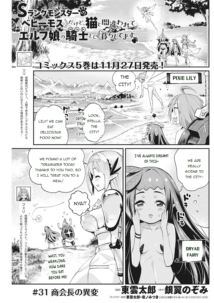 Halaman dari S-Rank Monster no "Behemoth" Dakedo, Neko to Machigawarete Elf Musume no Pet to Shite Kurashitemasu Chapter 31