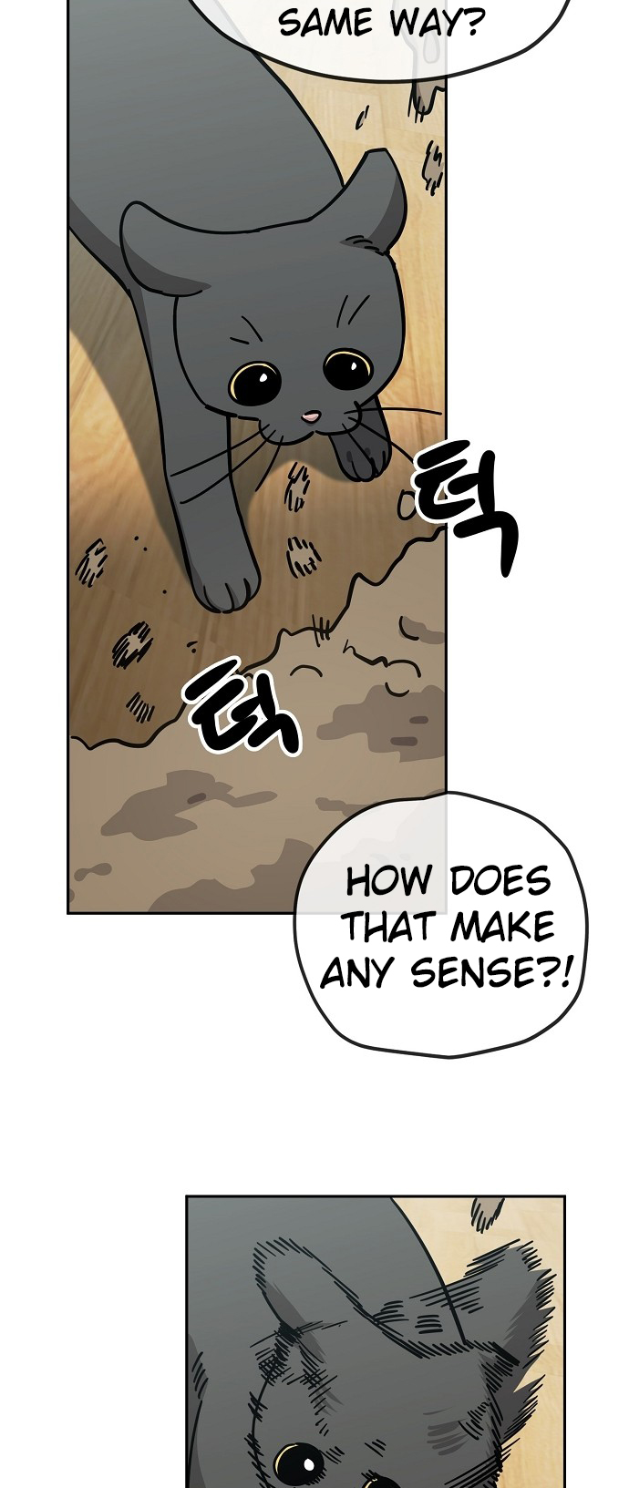 31