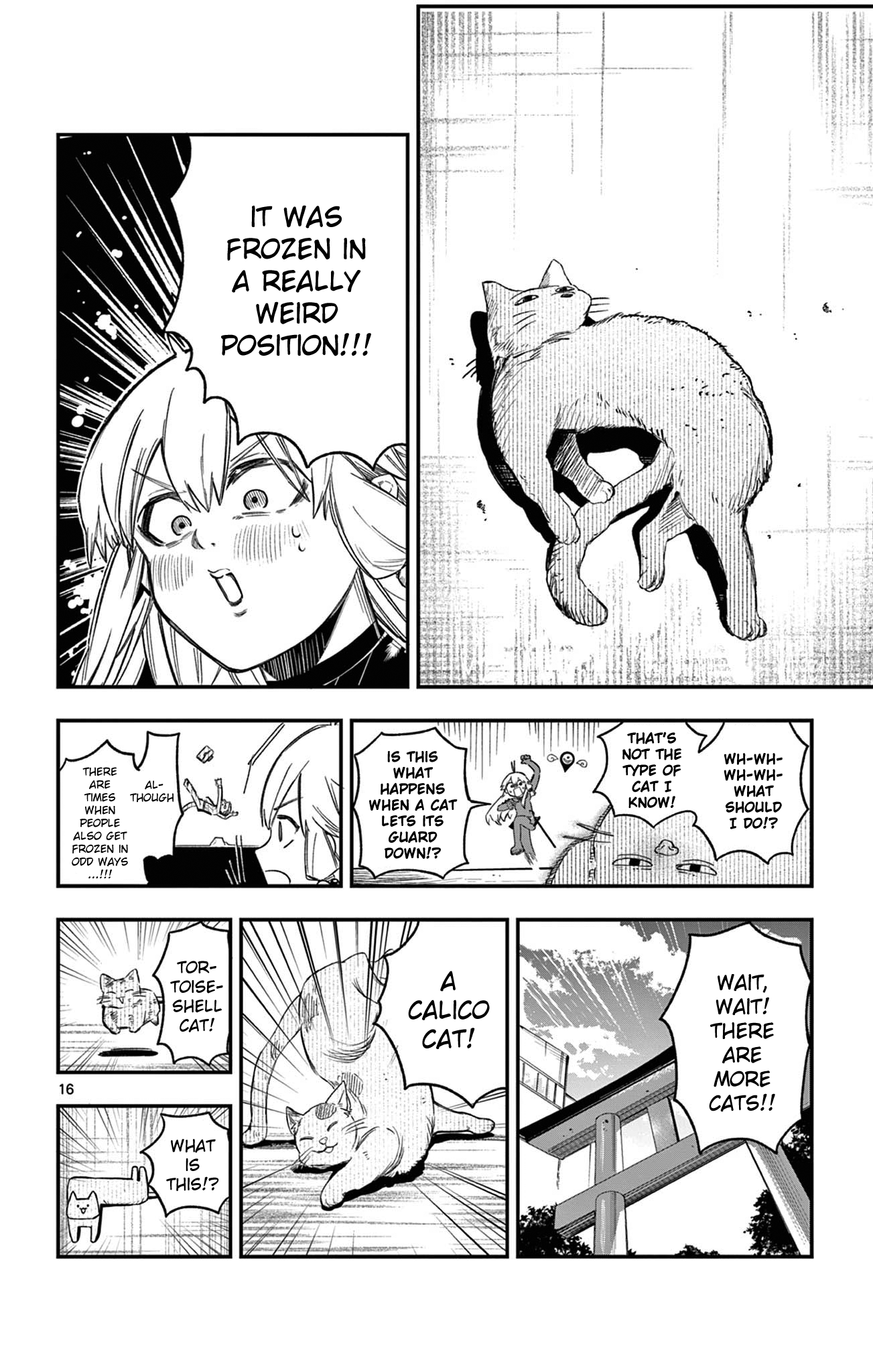 Page 16
