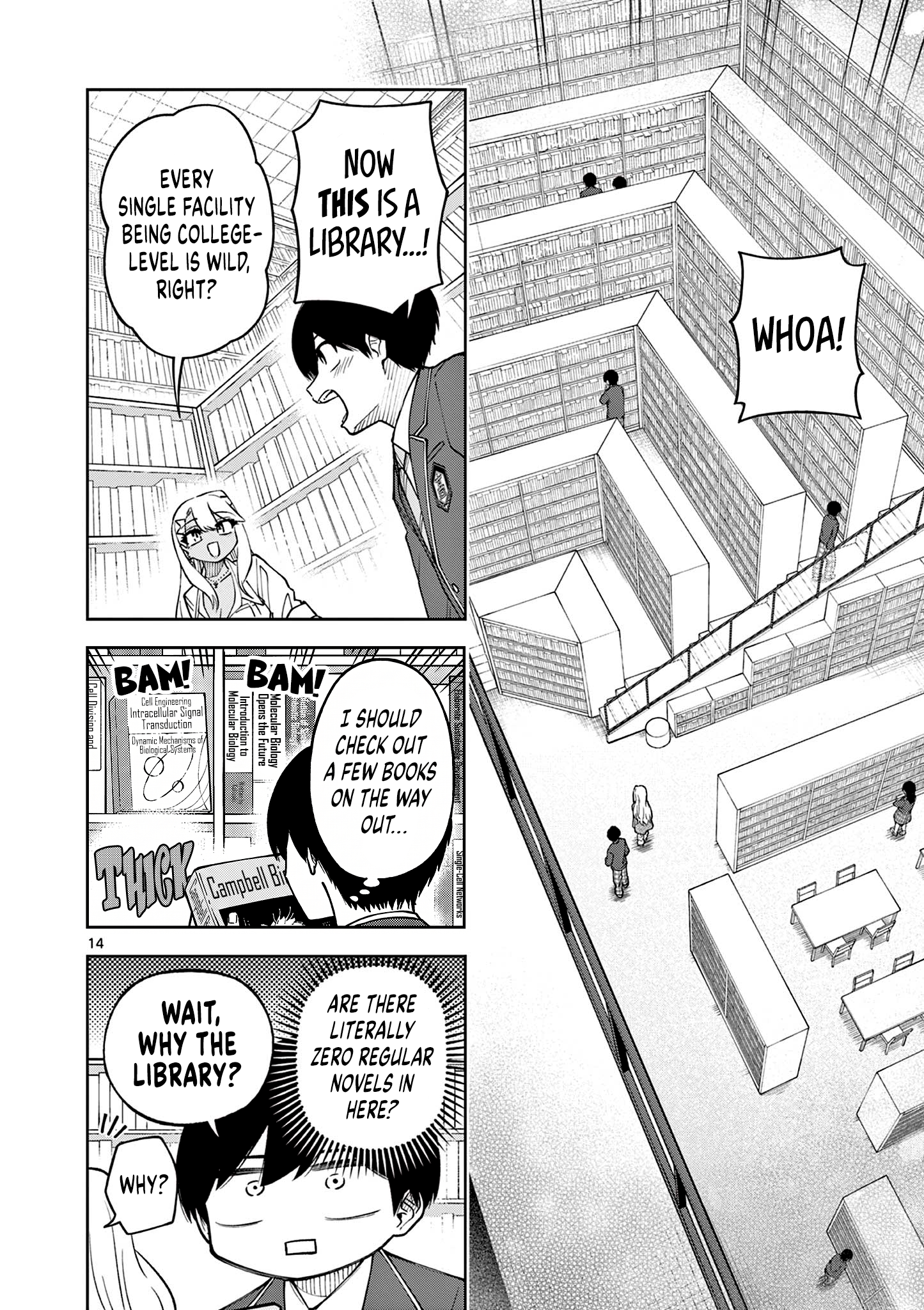 Page 14