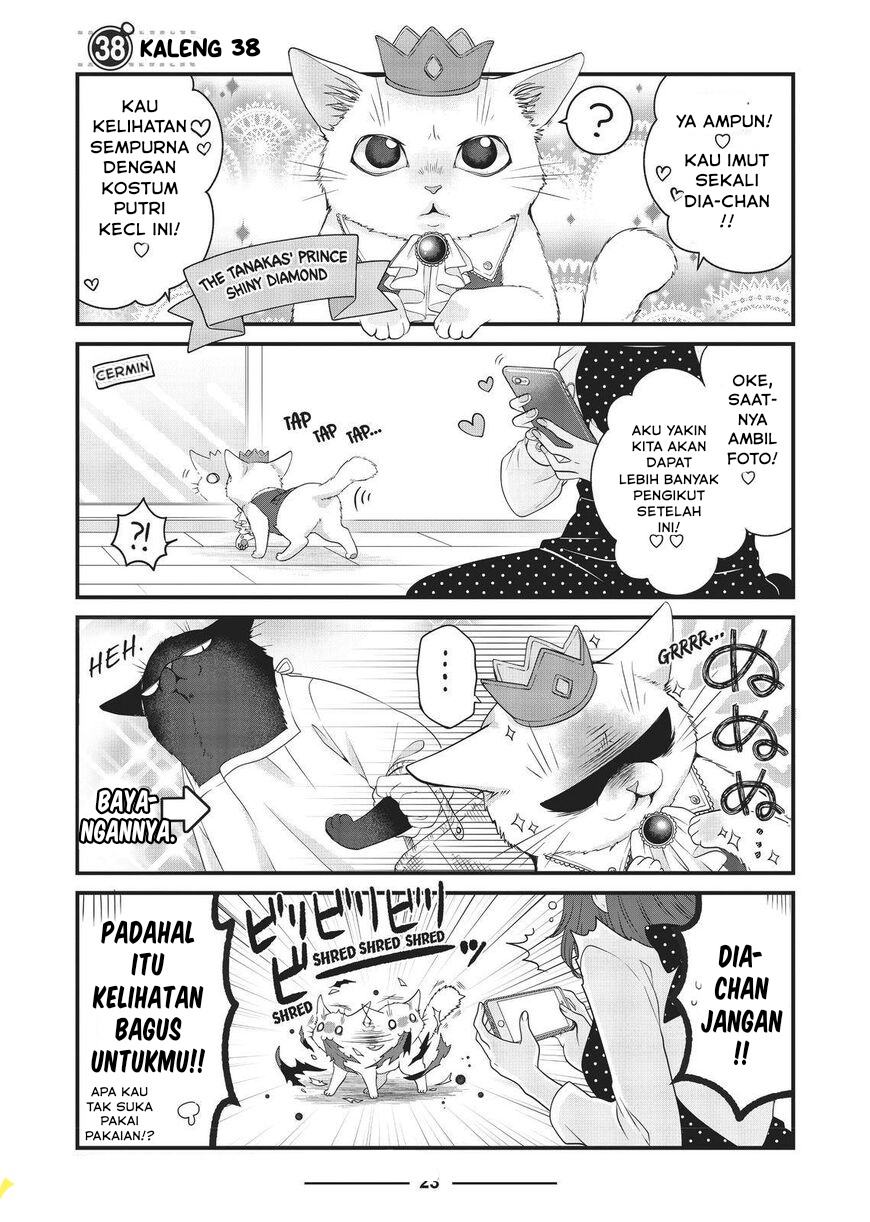 Dekiru Neko wa Kyou mo Yuuutsu Chapter 38 - halaman 1