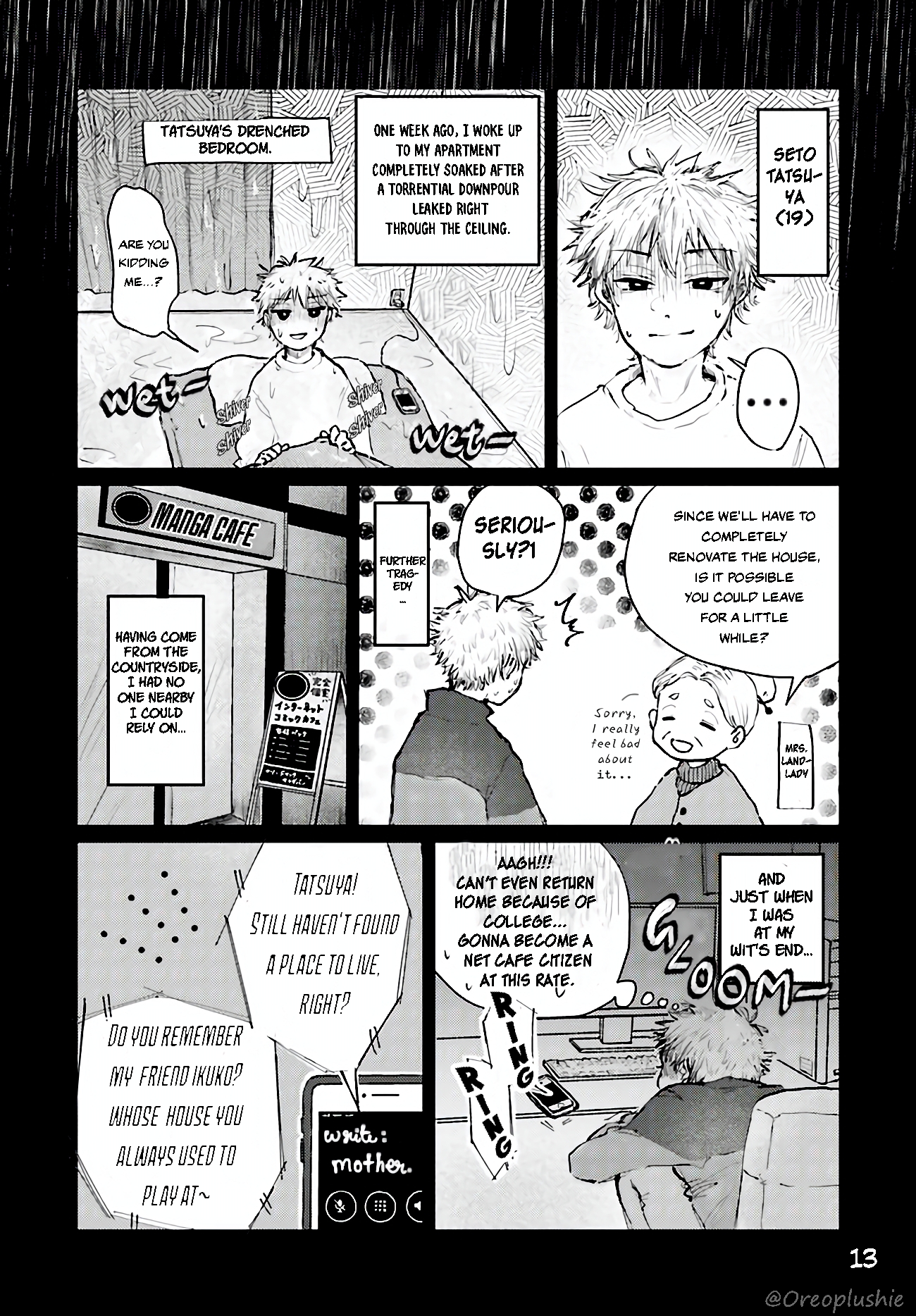 Page 13
