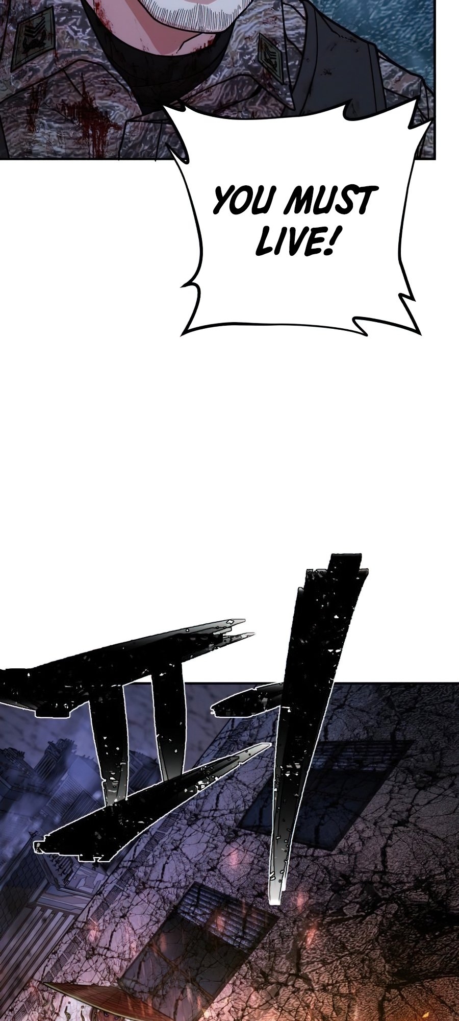 66