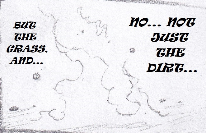 56