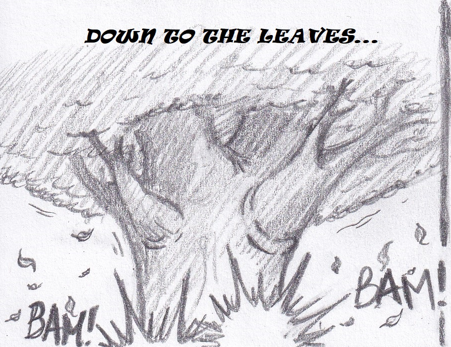 74