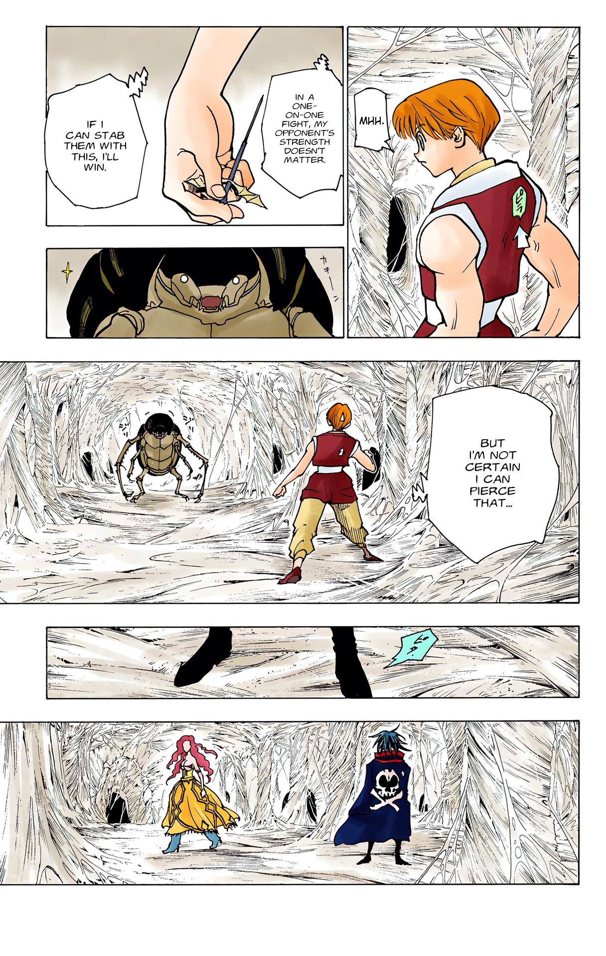 Halaman dari HUNTER x HUNTER (Official Colored) Chapter 225
