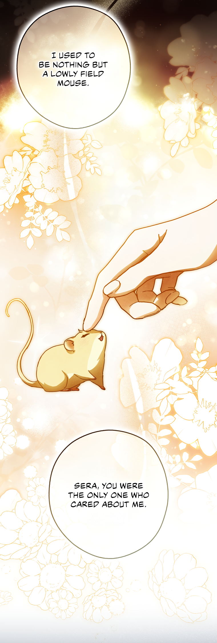 Halaman dari Cinderella's Pocket-Sized Protector Chapter 17