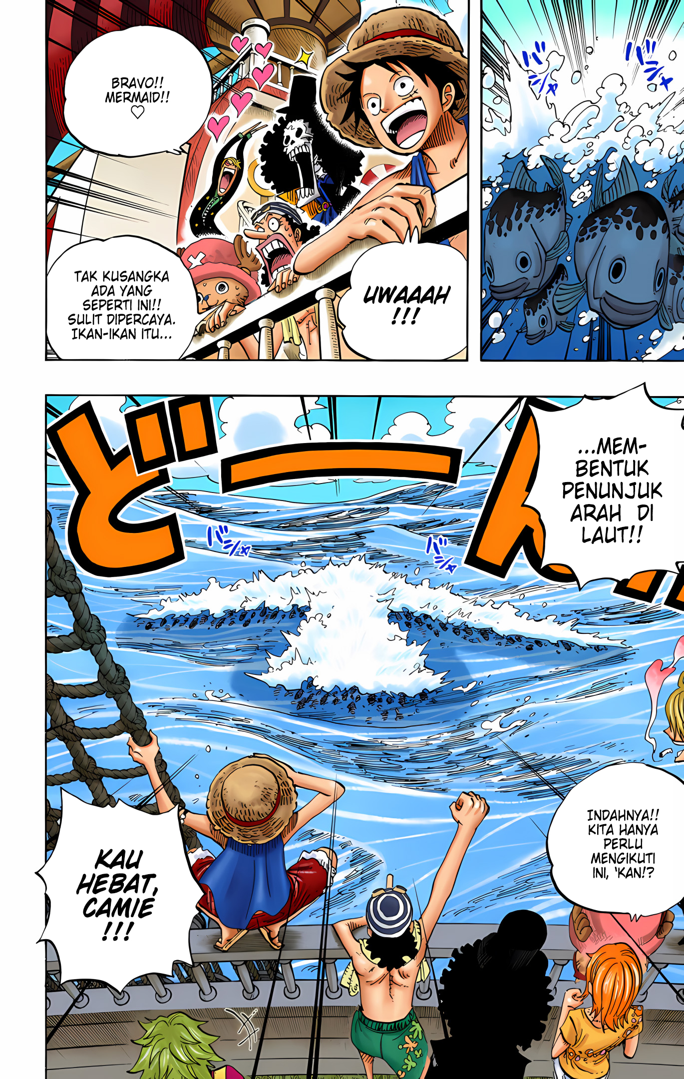 One Piece (Official Colored) Chapter 491 - halaman 12