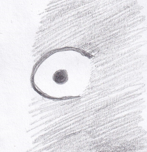 79