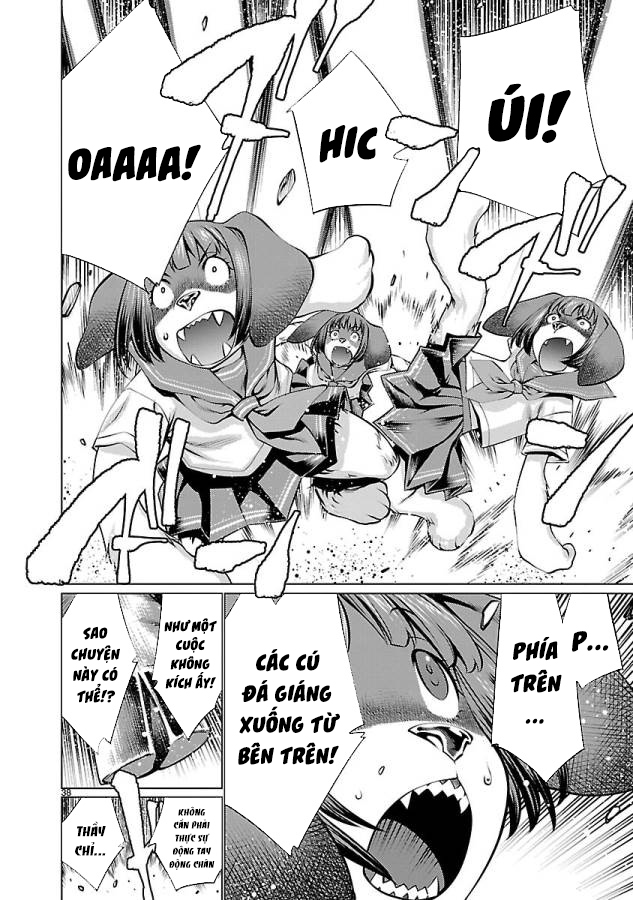 image 38