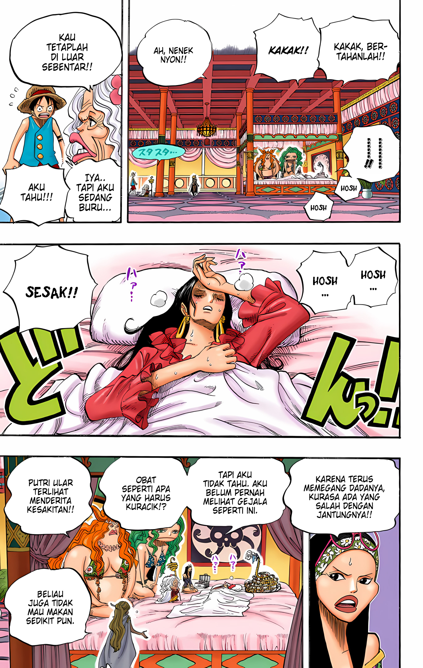 One Piece (Official Colored) Chapter 522 - halaman 15
