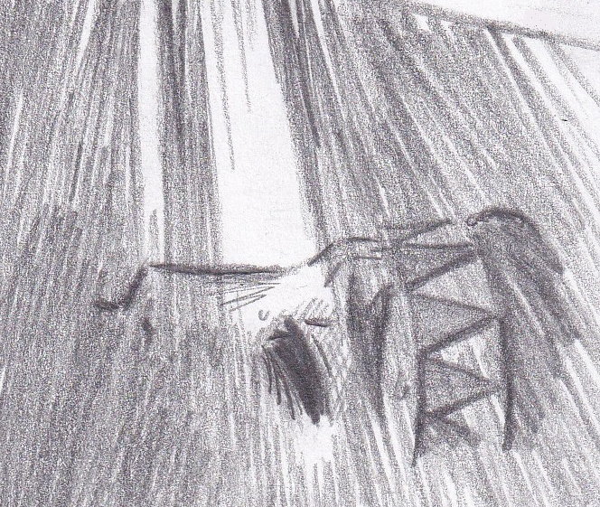 135
