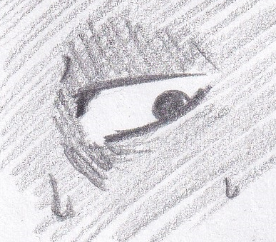 71