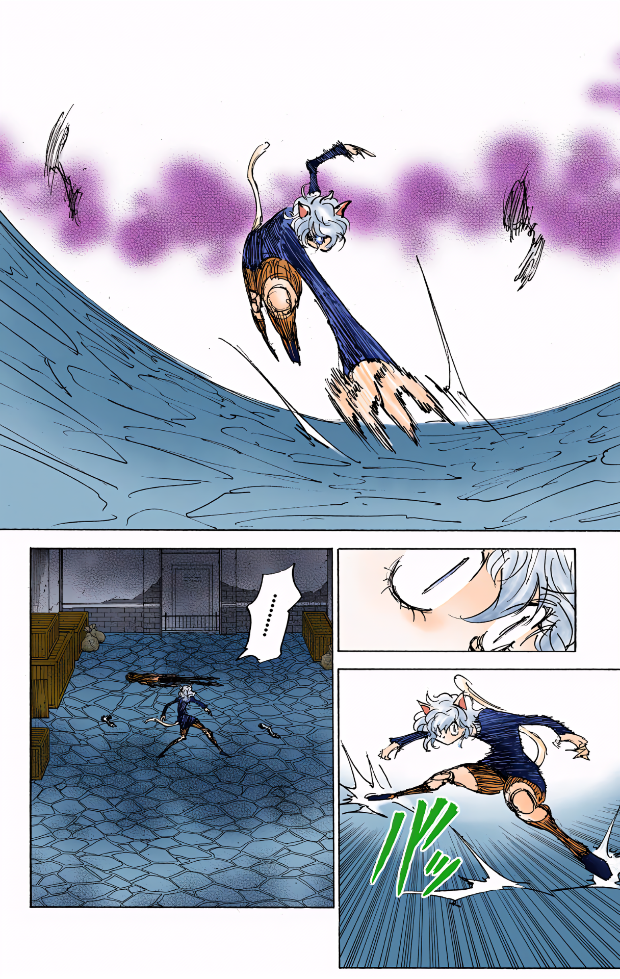 Halaman dari HUNTER x HUNTER (Official Colored) Chapter 306