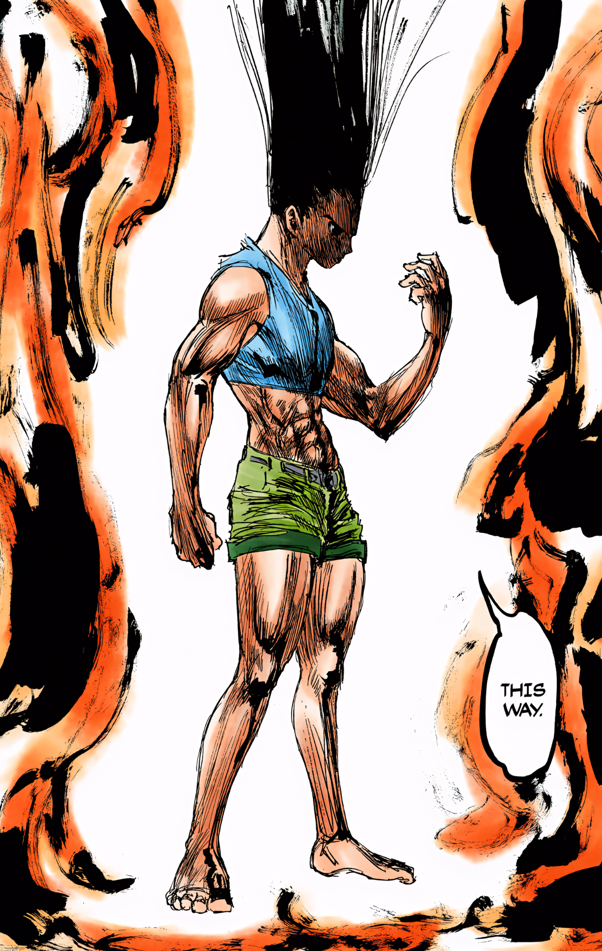 Halaman dari HUNTER x HUNTER (Official Colored) Chapter 306