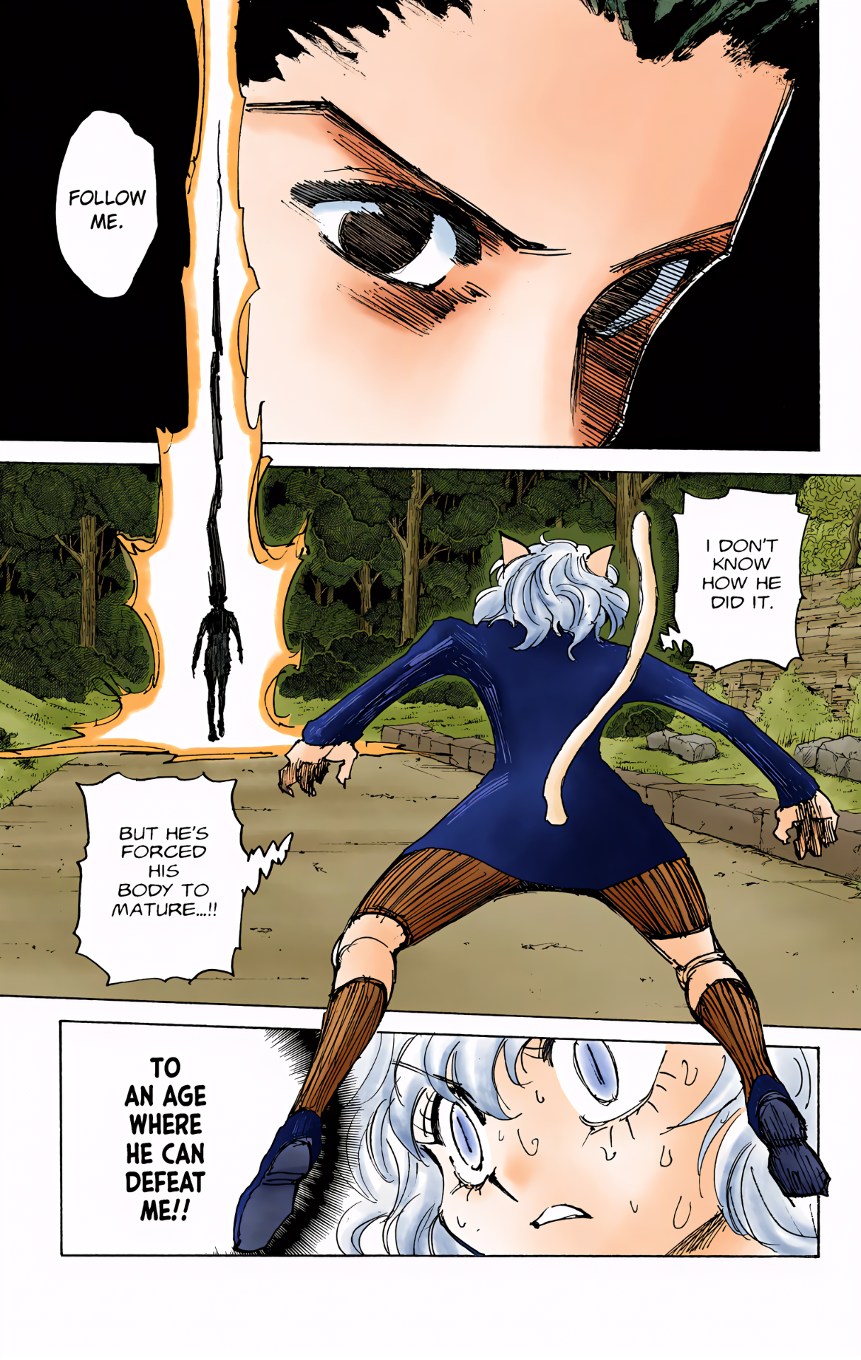Halaman dari HUNTER x HUNTER (Official Colored) Chapter 306