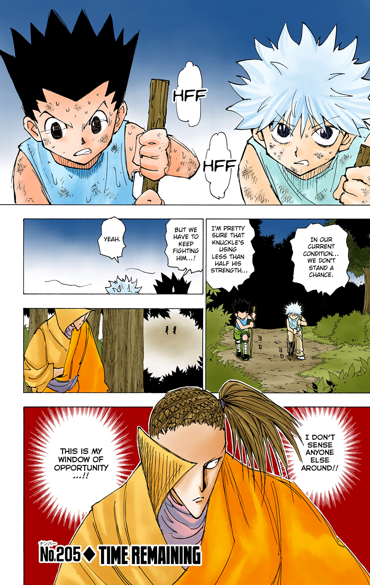 Halaman dari HUNTER x HUNTER (Official Colored) Chapter 205