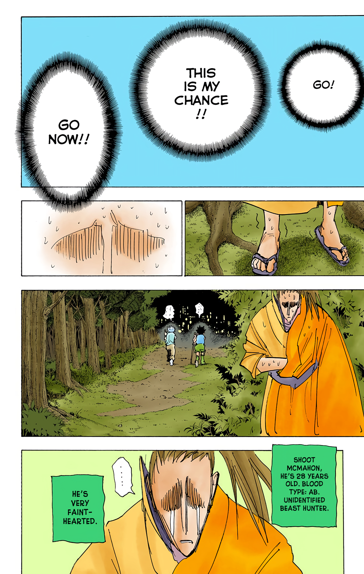Halaman dari HUNTER x HUNTER (Official Colored) Chapter 205