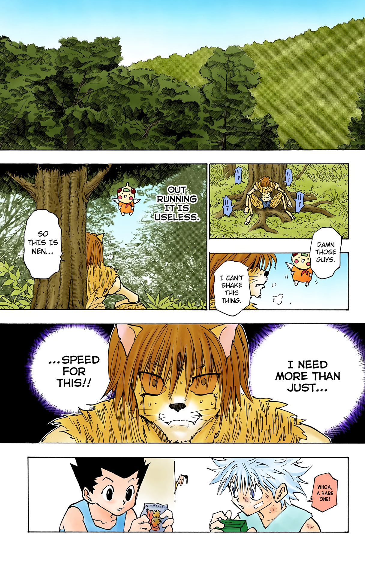 Halaman dari HUNTER x HUNTER (Official Colored) Chapter 221