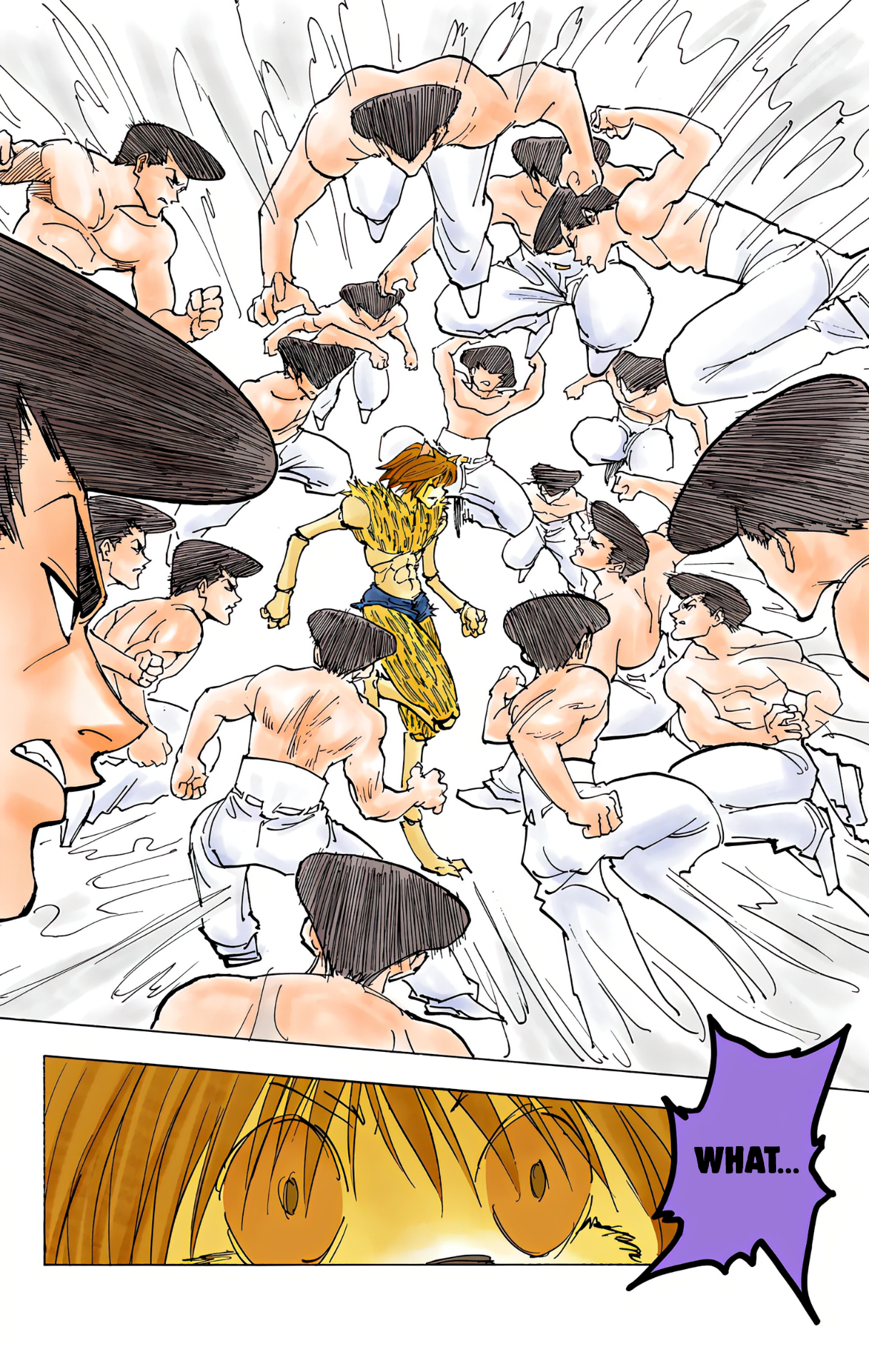 Halaman dari HUNTER x HUNTER (Official Colored) Chapter 221