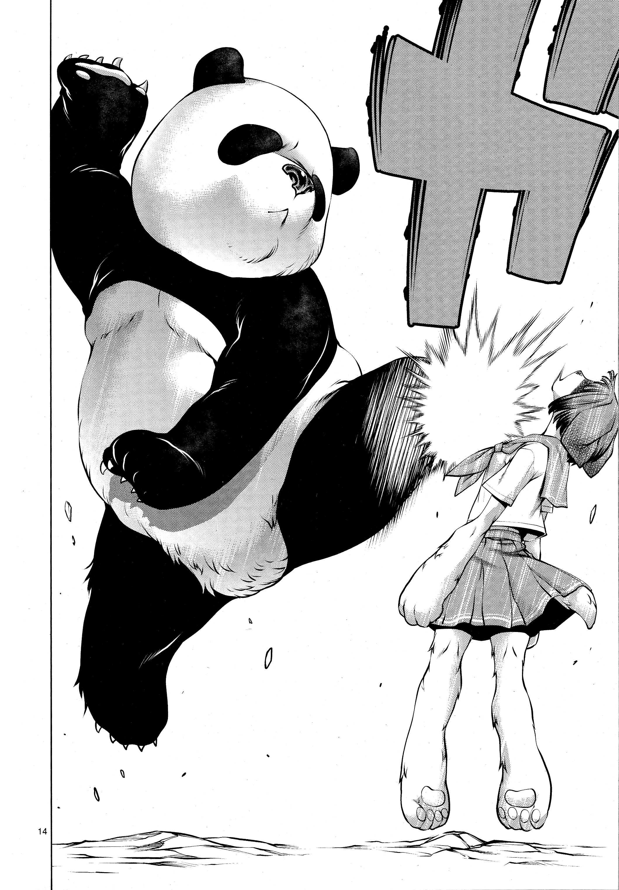 14