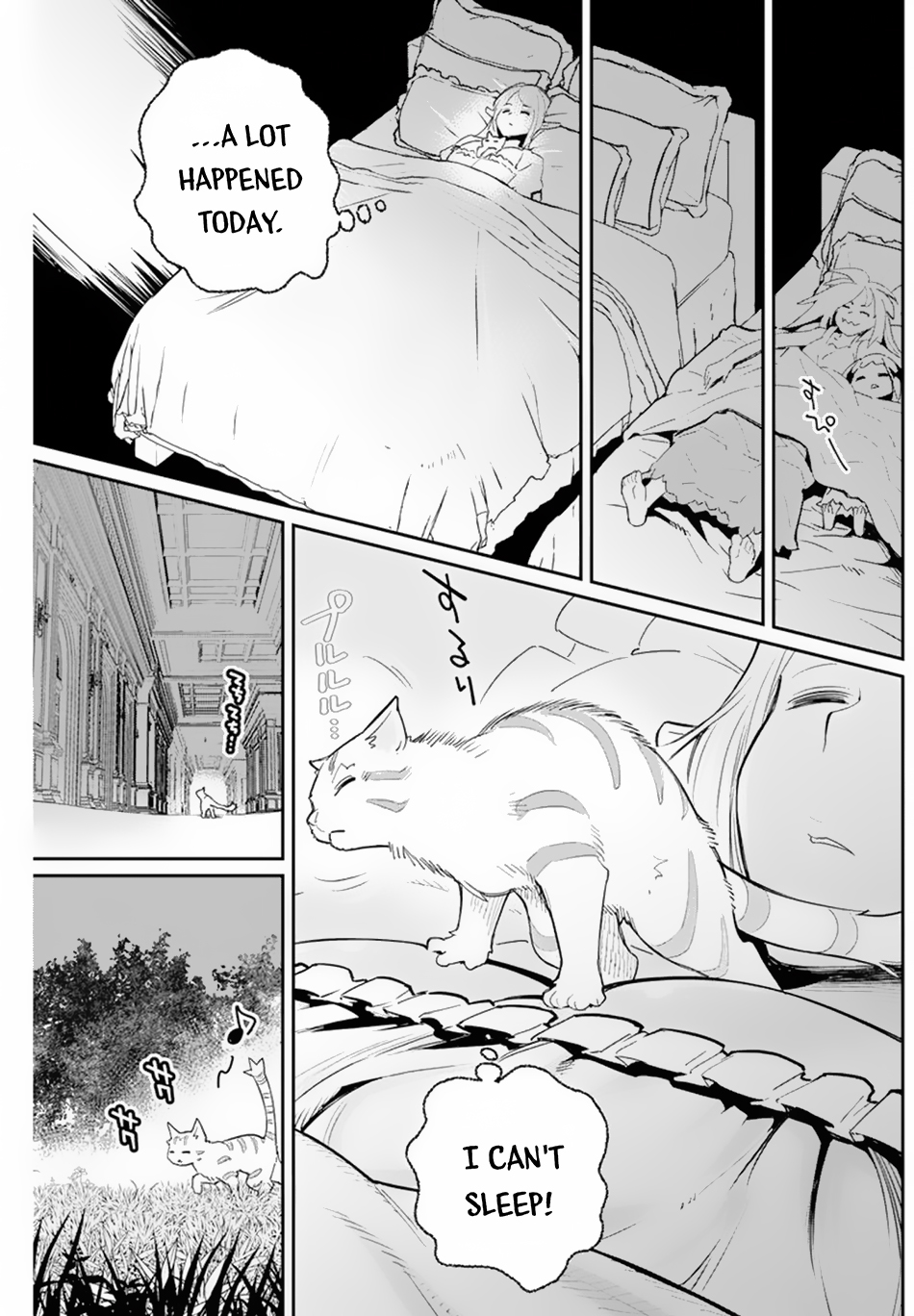 Halaman dari S-Rank Monster no "Behemoth" Dakedo, Neko to Machigawarete Elf Musume no Pet to Shite Kurashitemasu Chapter 47