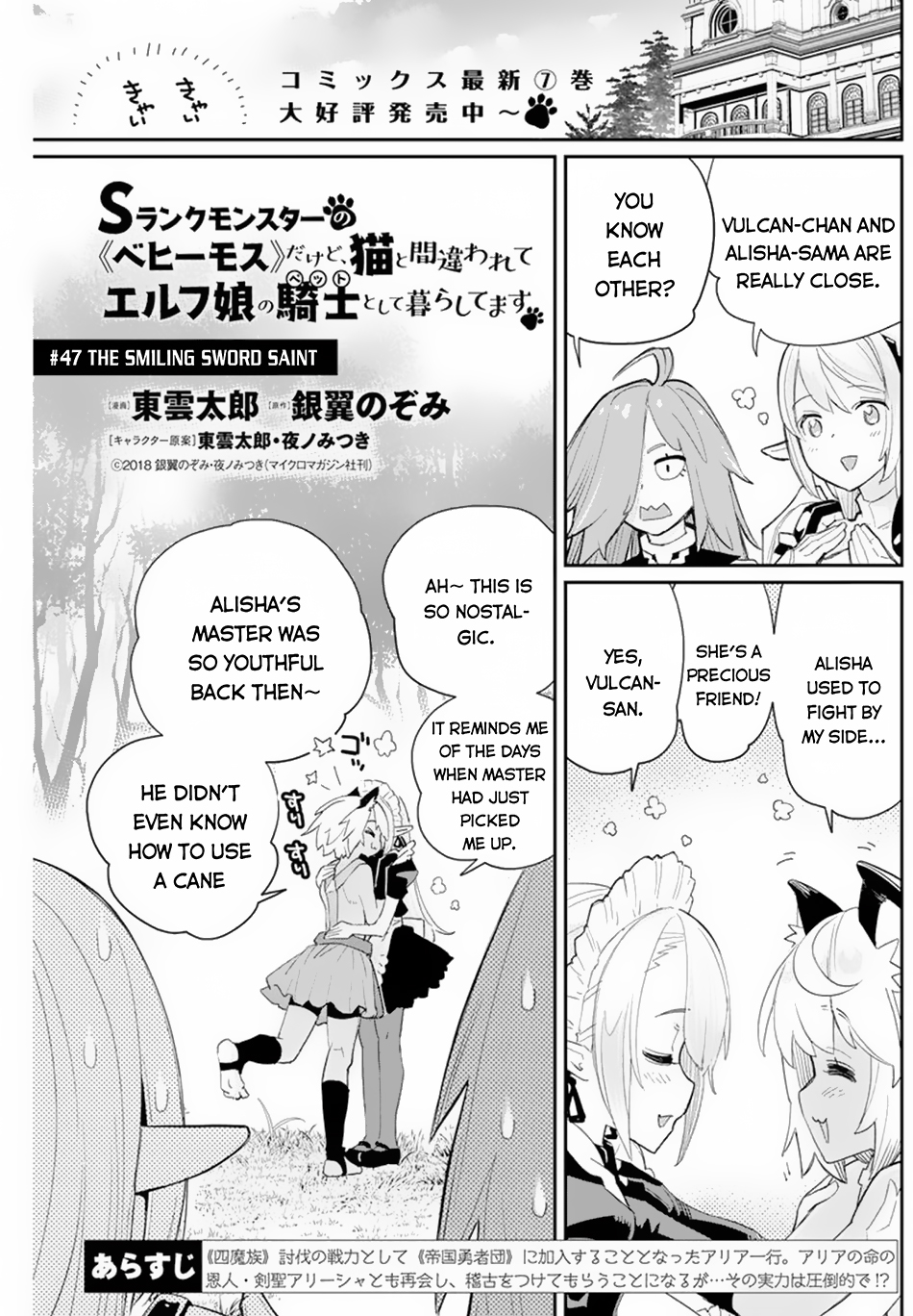 Halaman dari S-Rank Monster no "Behemoth" Dakedo, Neko to Machigawarete Elf Musume no Pet to Shite Kurashitemasu Chapter 47
