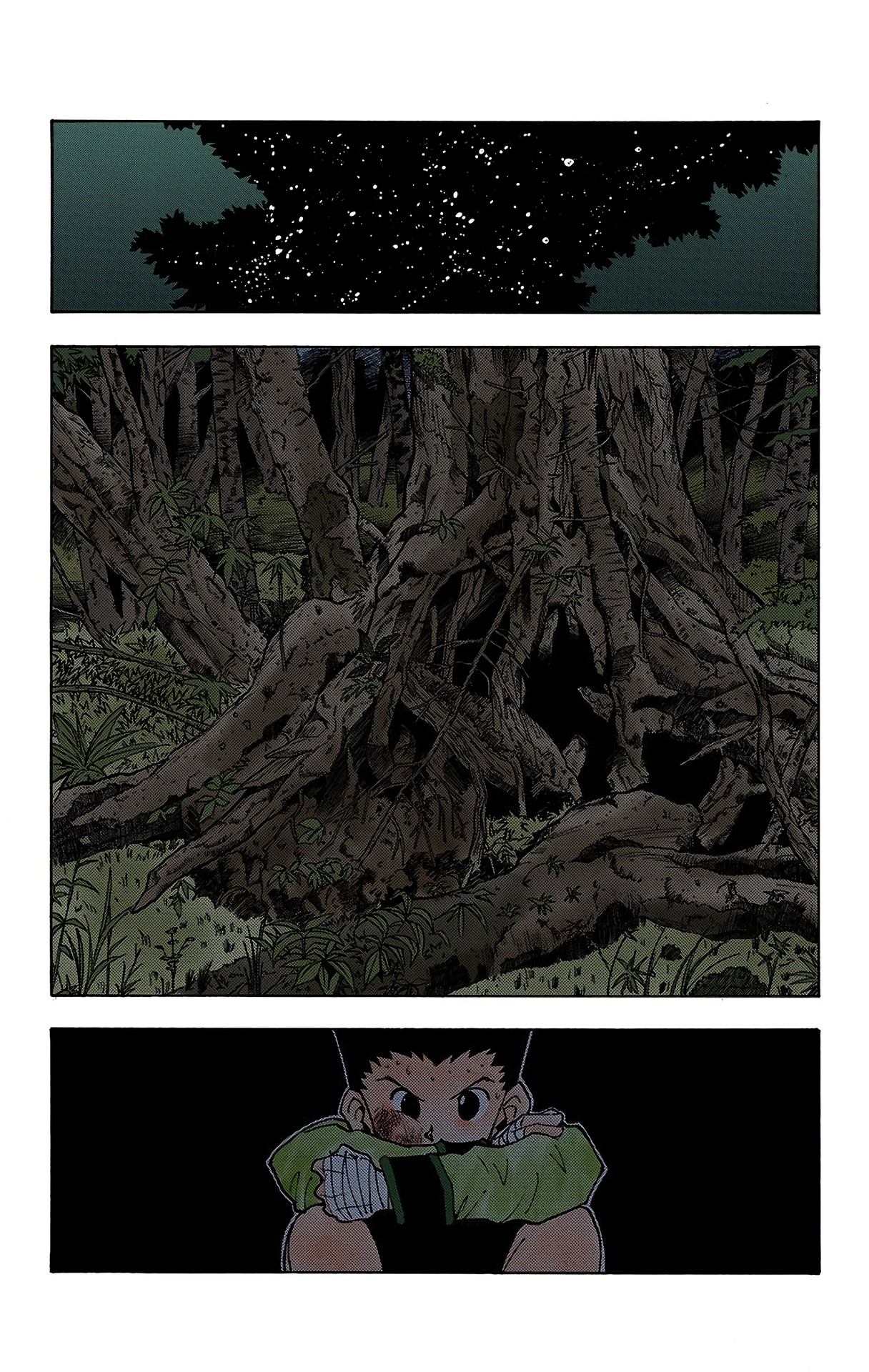Halaman dari HUNTER x HUNTER (Official Colored) Chapter 28
