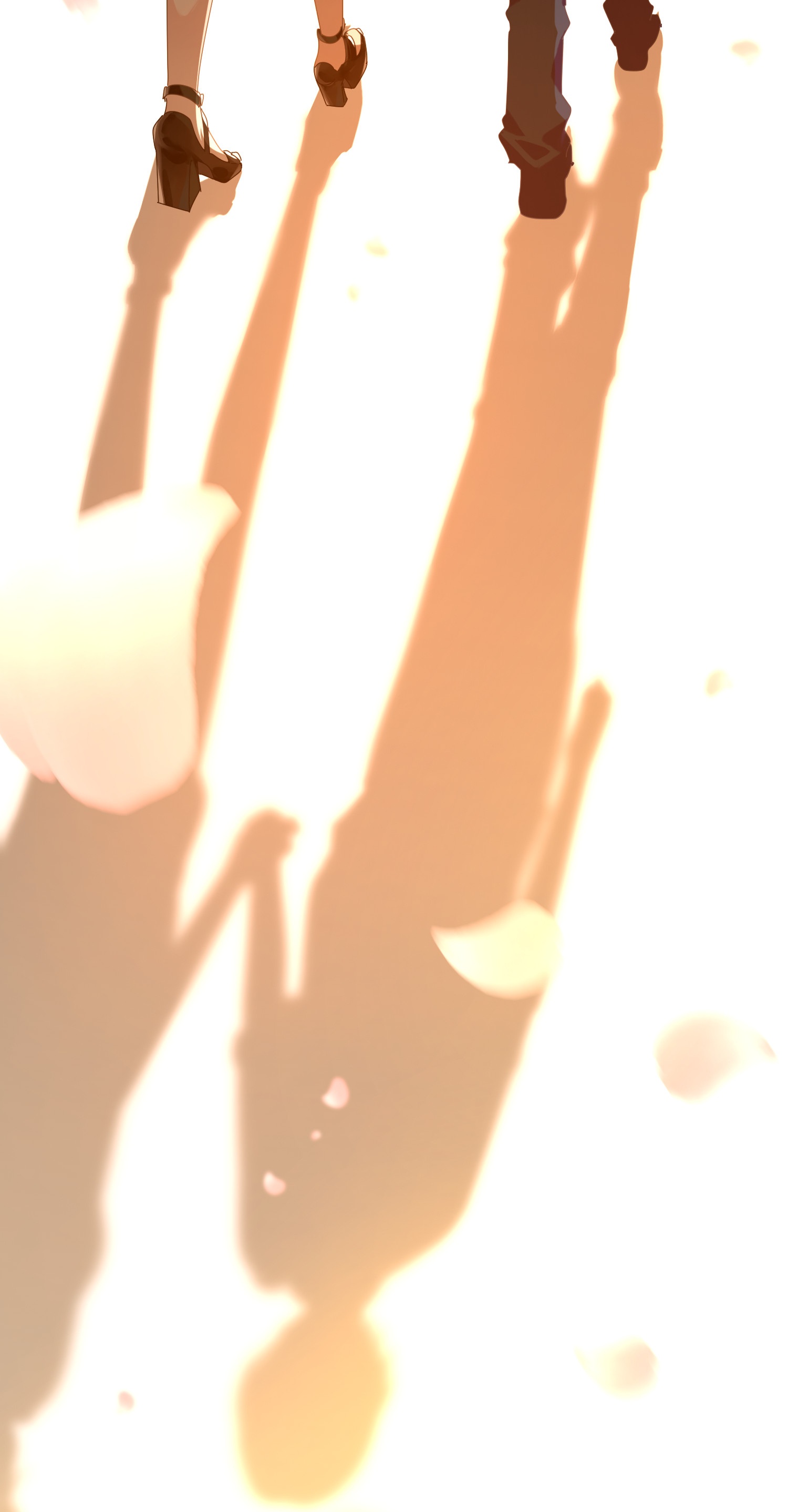 29
