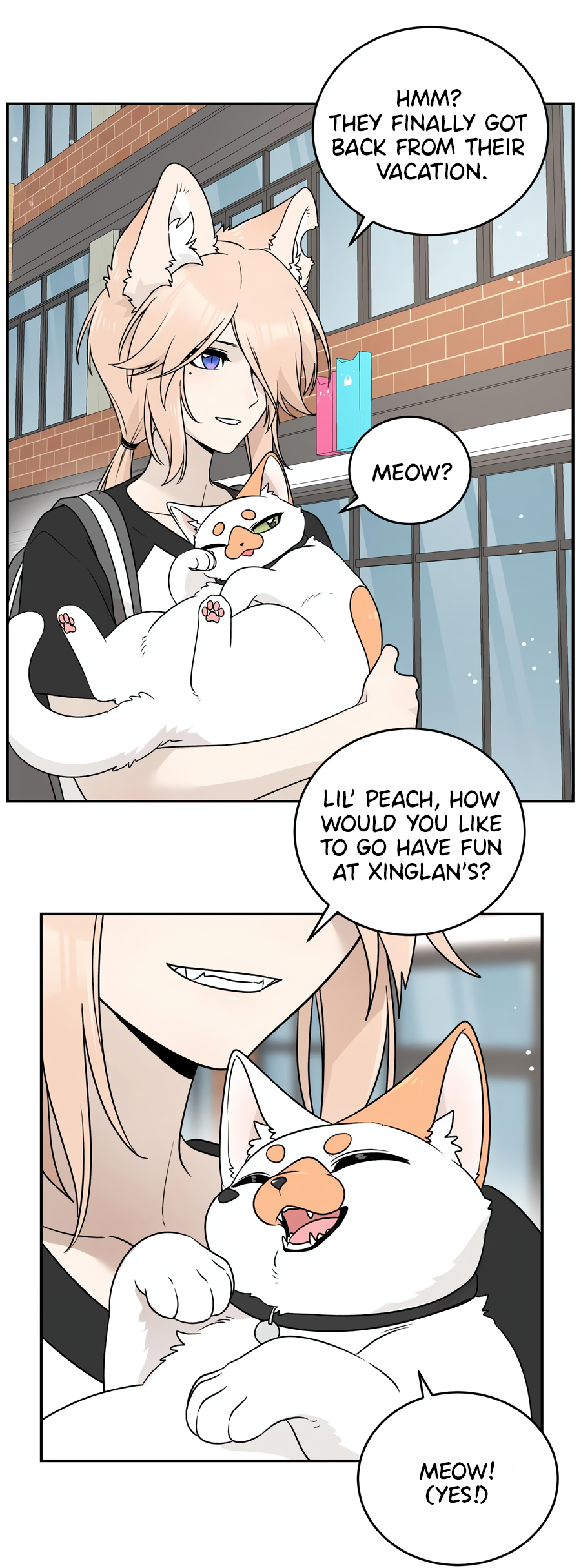 43