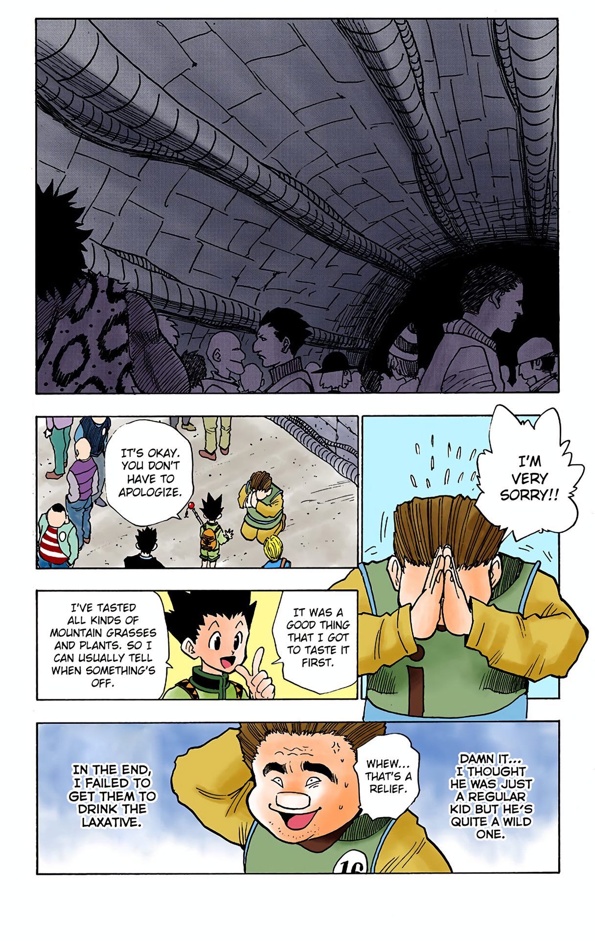 Halaman dari HUNTER x HUNTER (Official Colored) Chapter 6
